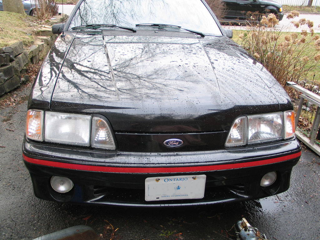 NateStangTFSR01.jpg
