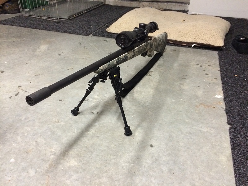 Savage10.jpg
