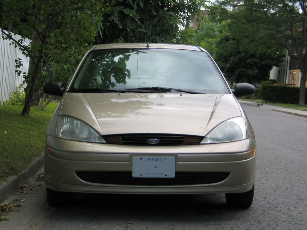 focus01.jpg