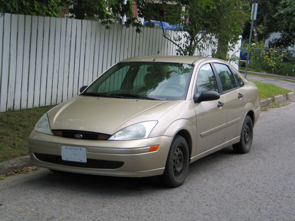 focus02.jpg