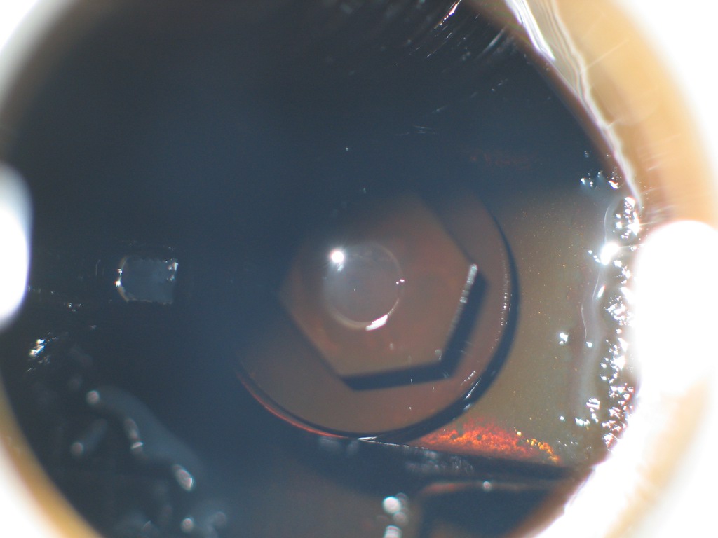focus1000km01.jpg