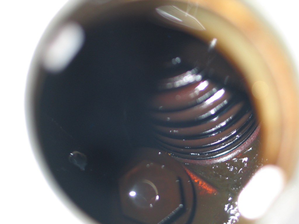 focus1000km02.jpg