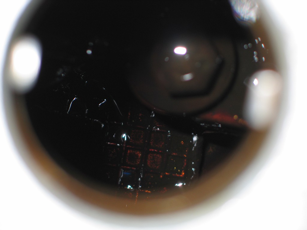 focusclean25102.jpg