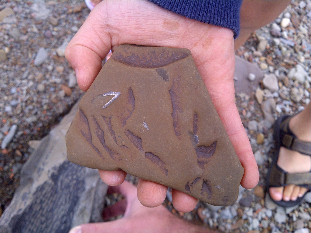 The Fossil Cliffs of Joggins BobIsTheOilGuy