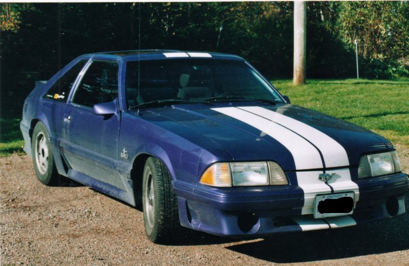 purplecar.jpg